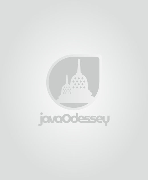 JavaOdessey.com